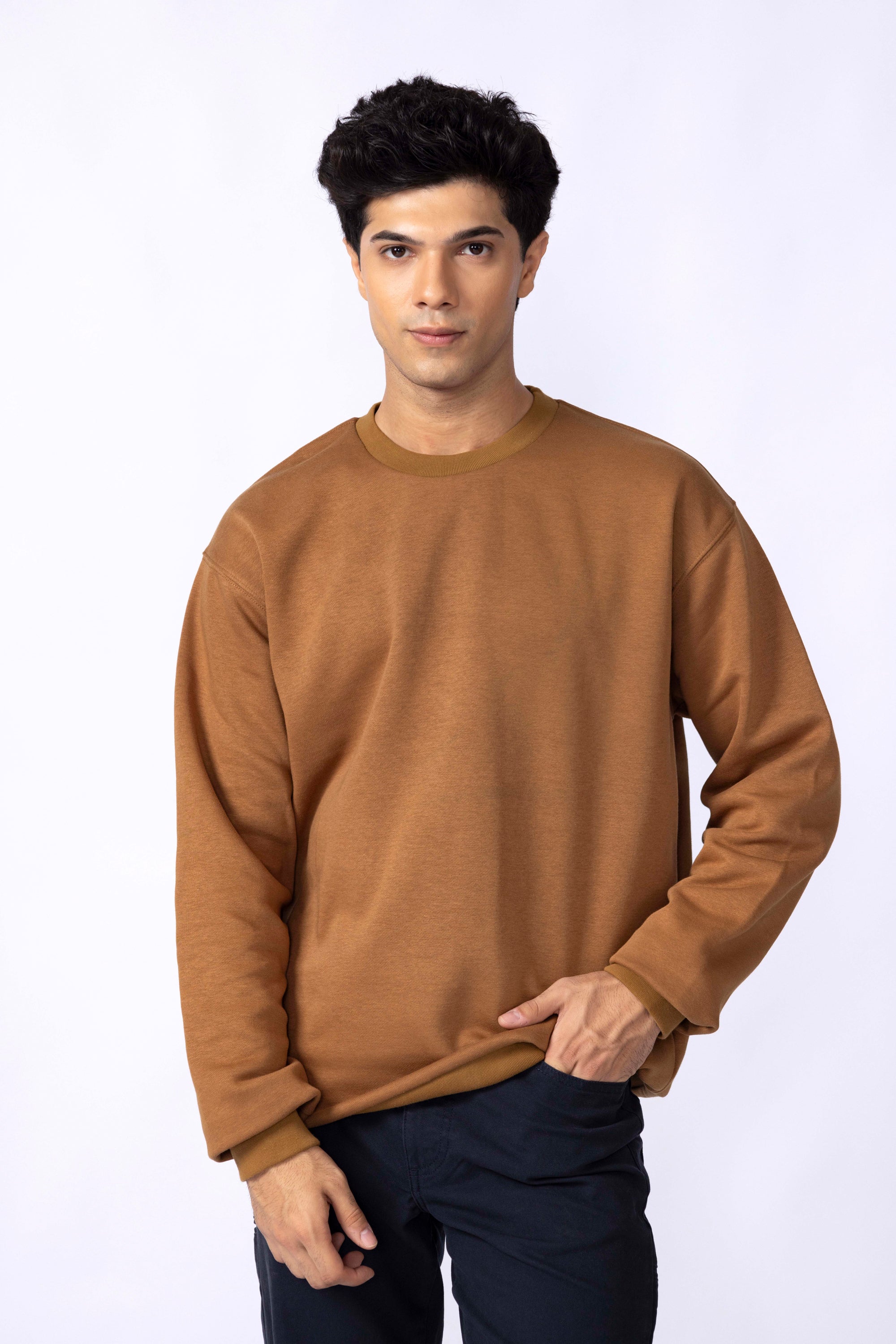 Regular Fit Polo Sweatshirt