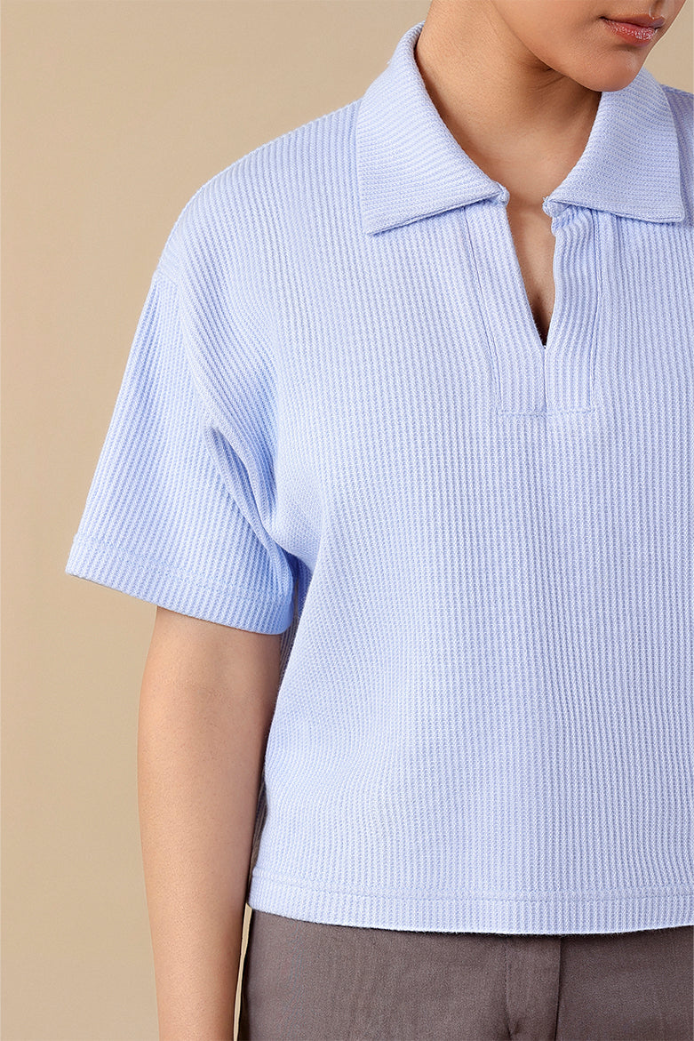 Ribbed V-Neck Polo