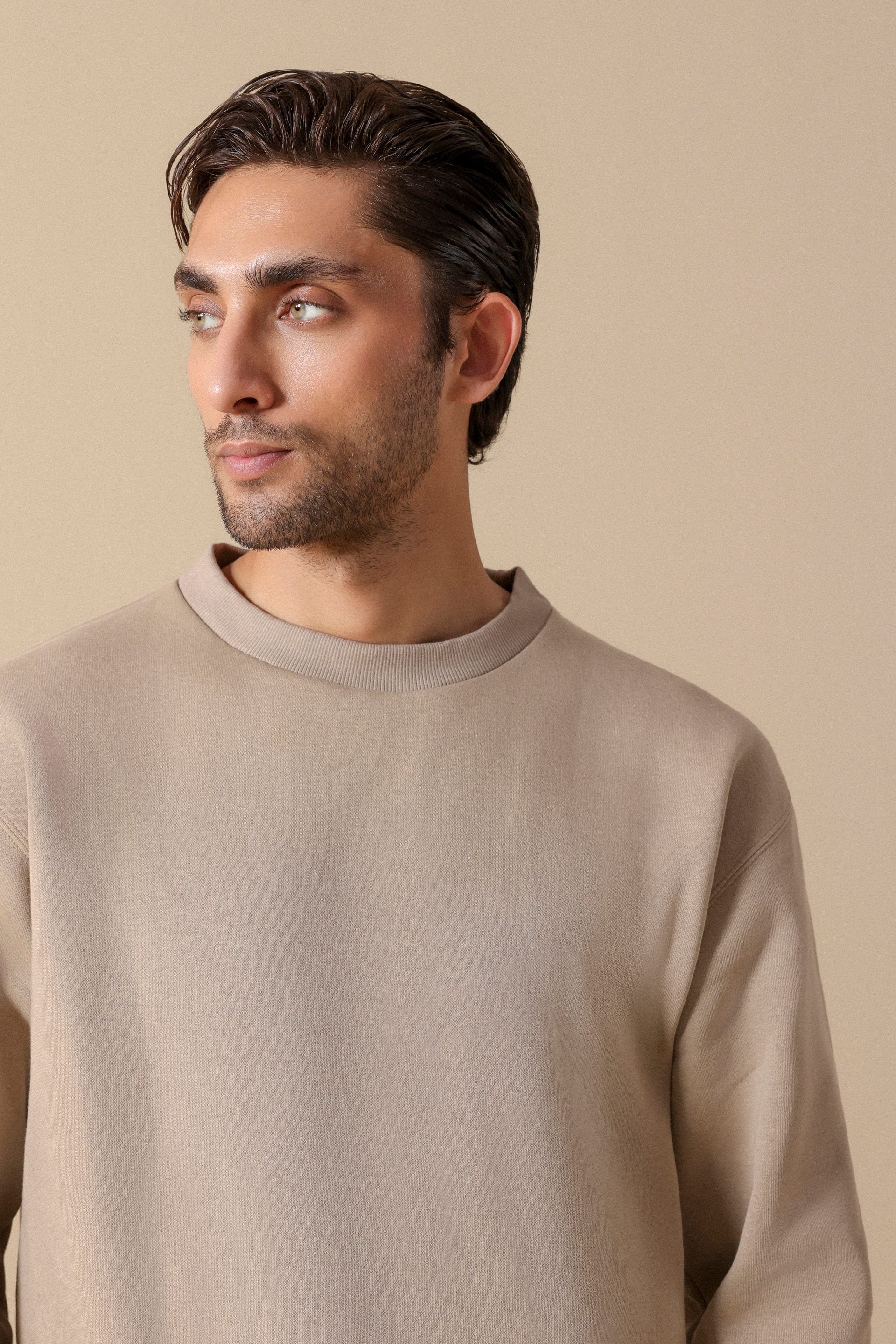 sweat shirt for men #Color_Mushroom
